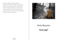 bergsten-sofia - syns-jag?