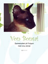 mansnerus-maija-strömblad - von-bonsai-herrgårds-katten