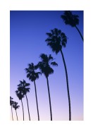 Palm Trees At Sunset In California | Create your own poster