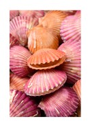 Pink Sea Shells | Create your own poster