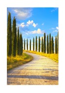 Cyprus Trees In Italy | Create your own poster